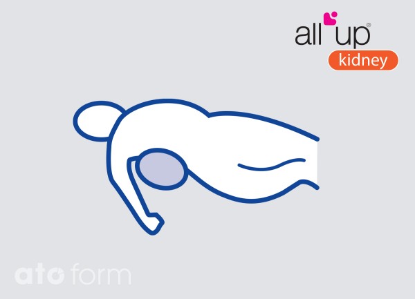 All Up – Kidney