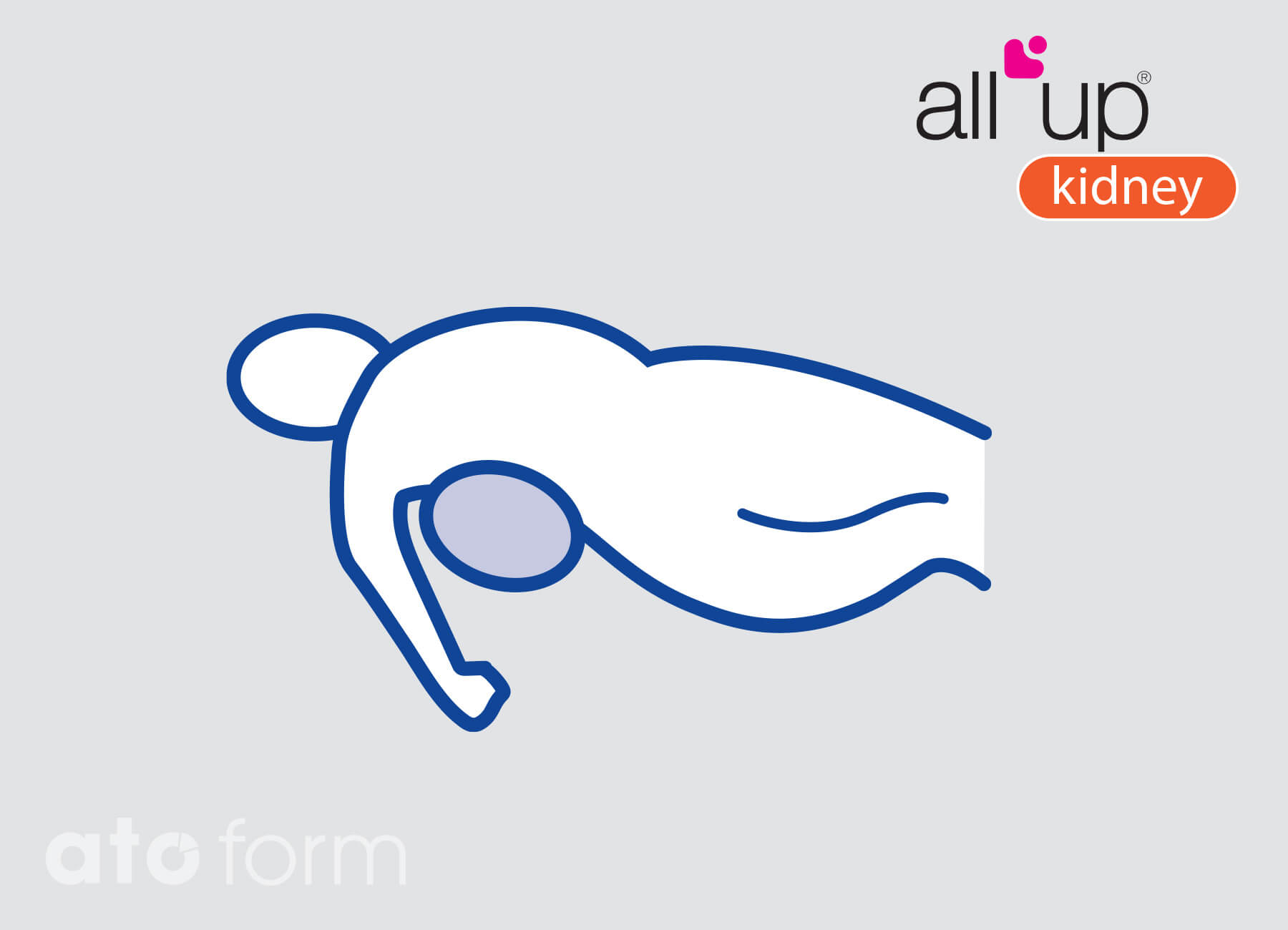 All Up Kidney Grafik