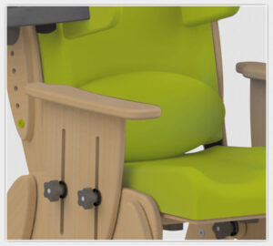 Lordosenpolster Juni