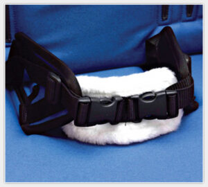 4-Punkt-Beckengurt für Therapiestuhl Brookfield